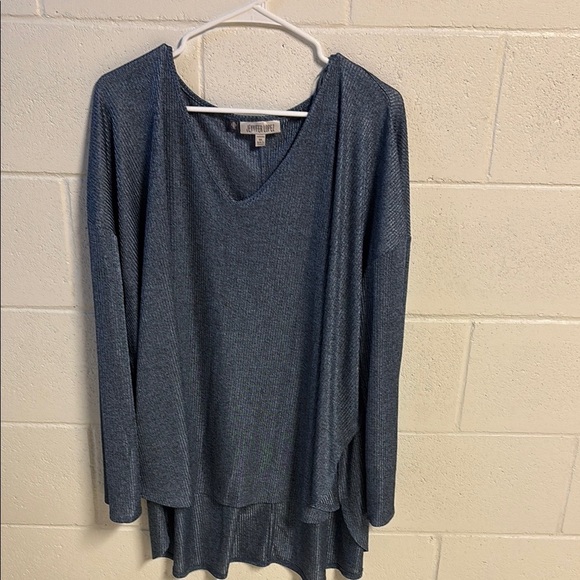 Jennifer Lopez Gray and Blue Shimmer Tunic - Picture 1 of 7